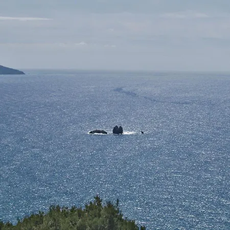 Swimming Pool And Sea View On *
