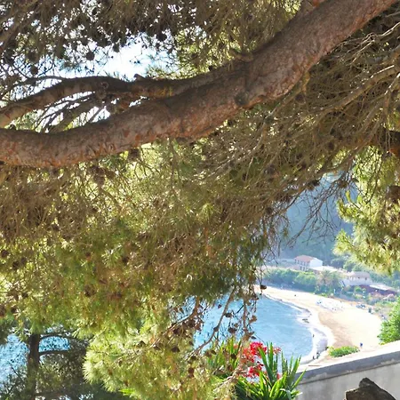 Swimming Pool And Sea View On