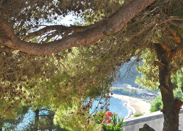Swimming Pool And Sea View On